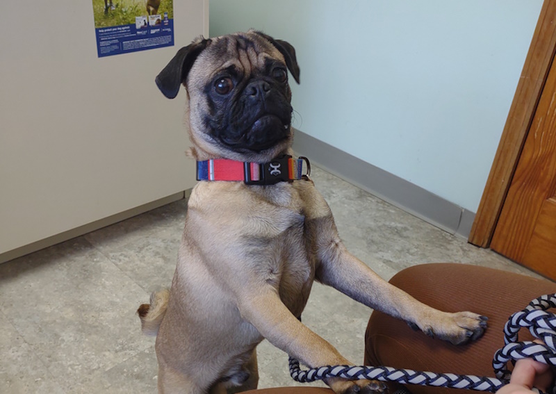 Carousel Slide 6: We have an In-house Pharmacy