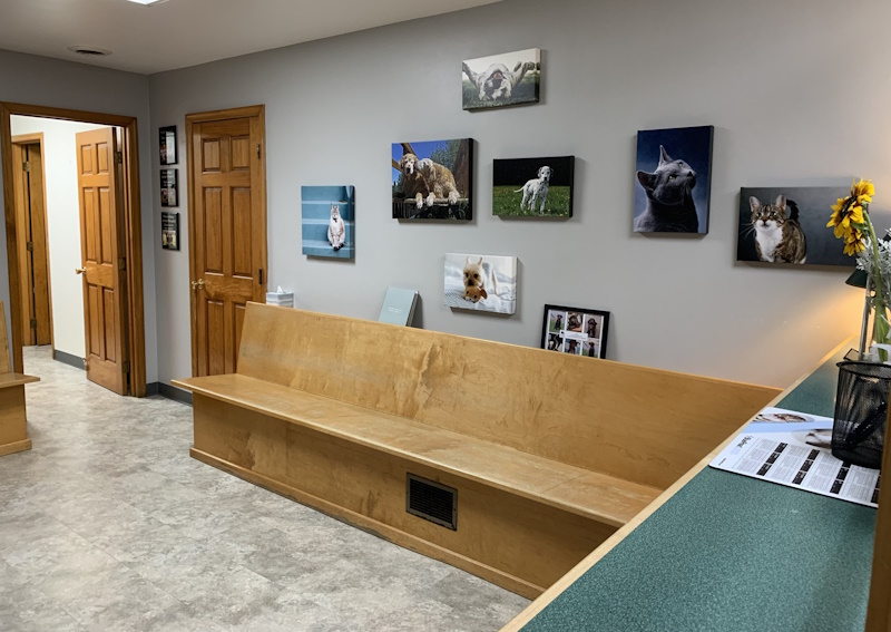 Carousel Slide 4: Learn more about our practice!